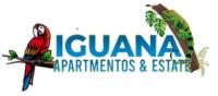 Iguana Apartmentos And Estate image 1